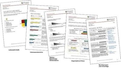 Birkman Assessment w/ Coaching Debrief