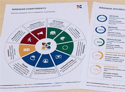 Birkman Assessment w/ Coaching Debrief