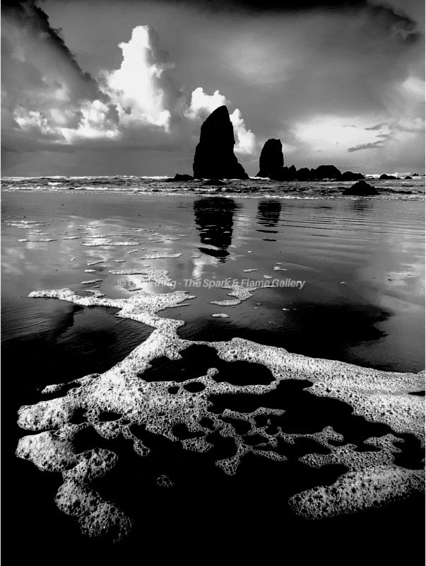 Joyful Coastal Bubbles BW