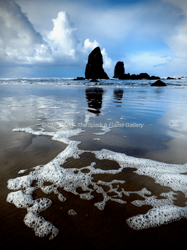 Joyful Coastal Bubbles