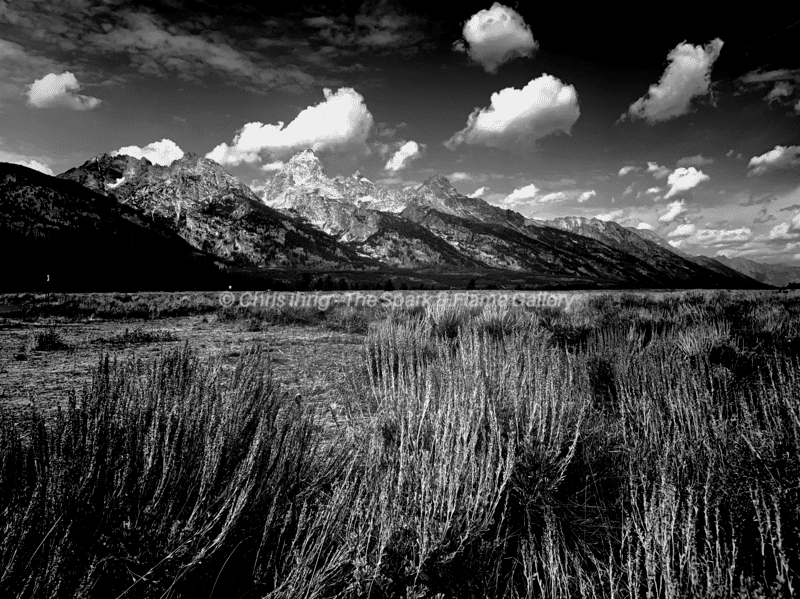 Grand Prairie of the Tetons