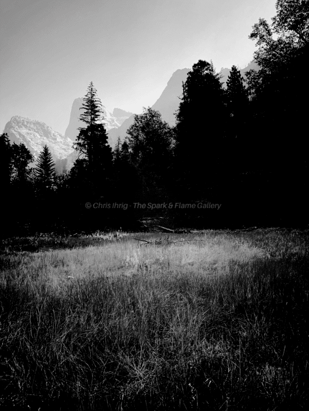 Yosemite Prairies and Mountains